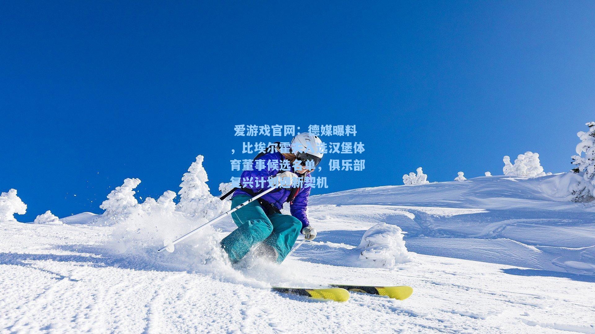  爱游戏官网：德媒曝料，比埃尔霍夫入选汉堡体育董事候选名单，俱乐部复兴计划迎新契机