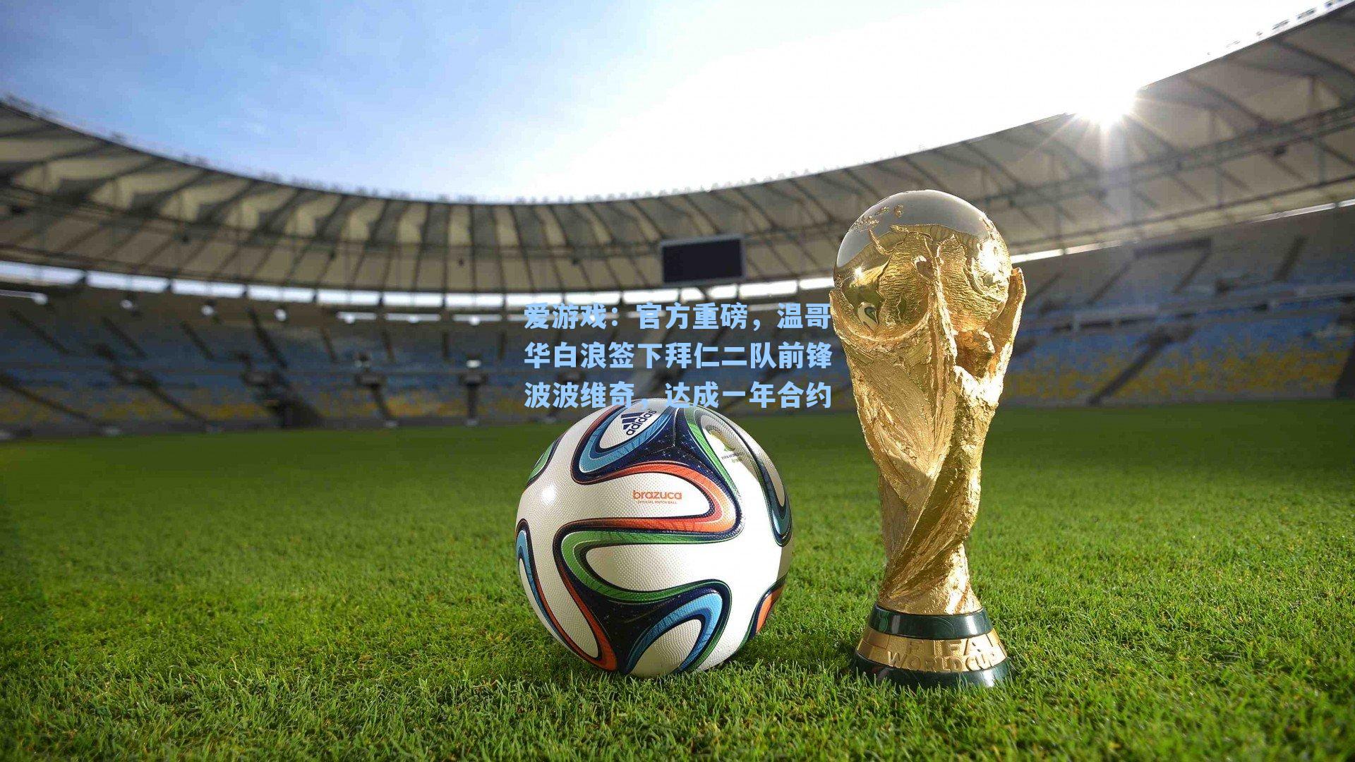 爱游戏：官方重磅，温哥华白浪签下拜仁二队前锋波波维奇，达成一年合约